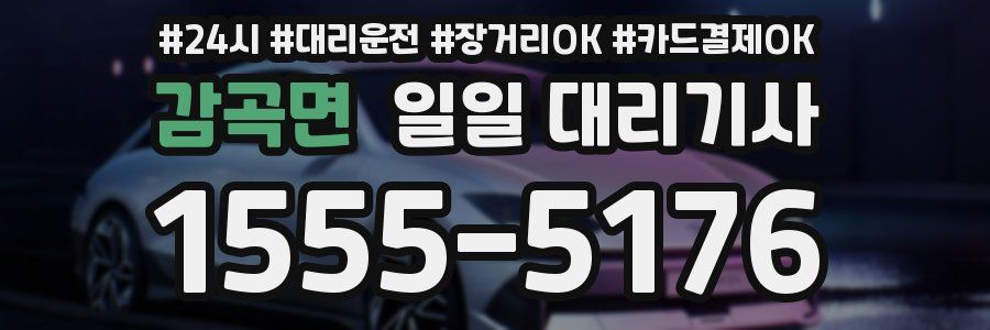 감곡면 일일 대리기사