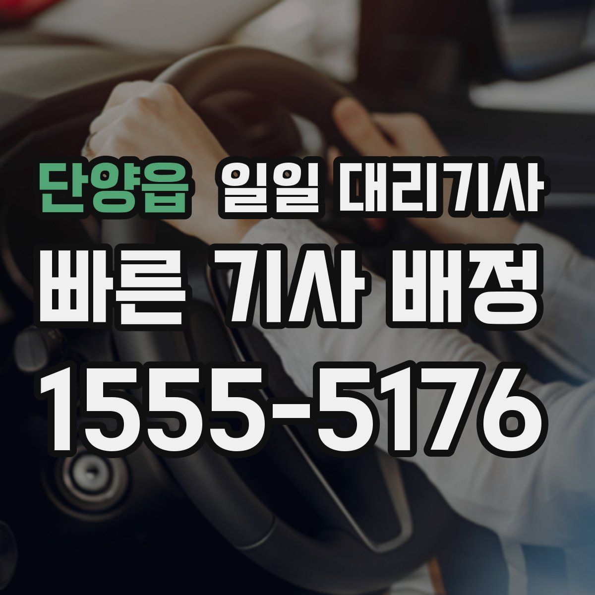 단양읍 일일 대리기사