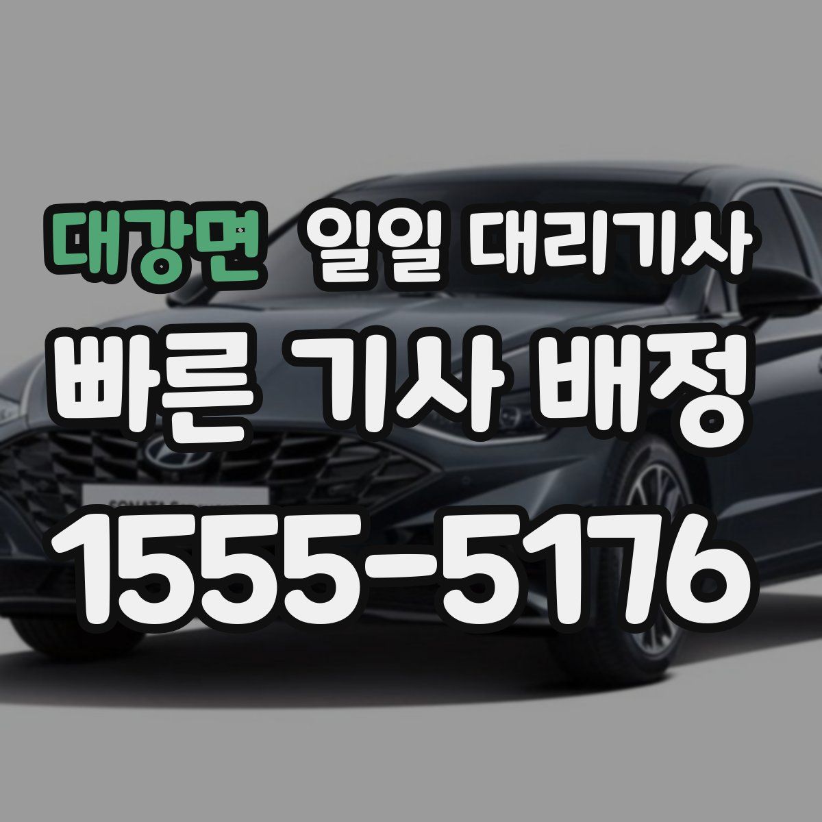 대강면 일일 대리기사