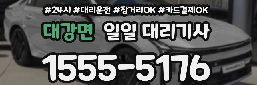대강면 일일 대리기사
