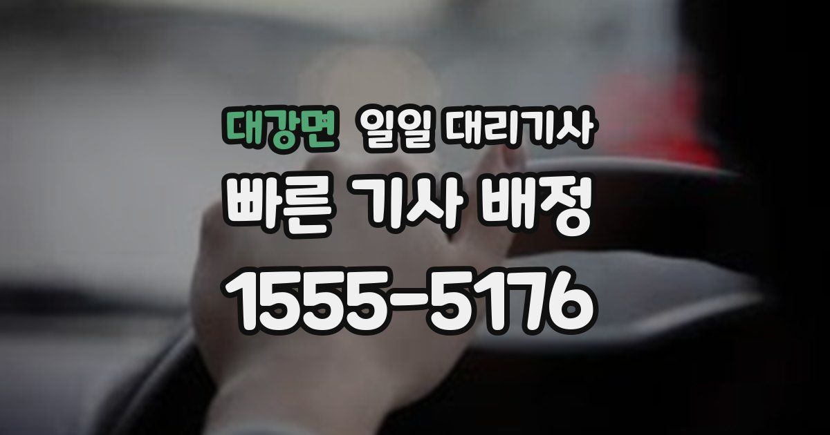 대강면 일일 대리기사