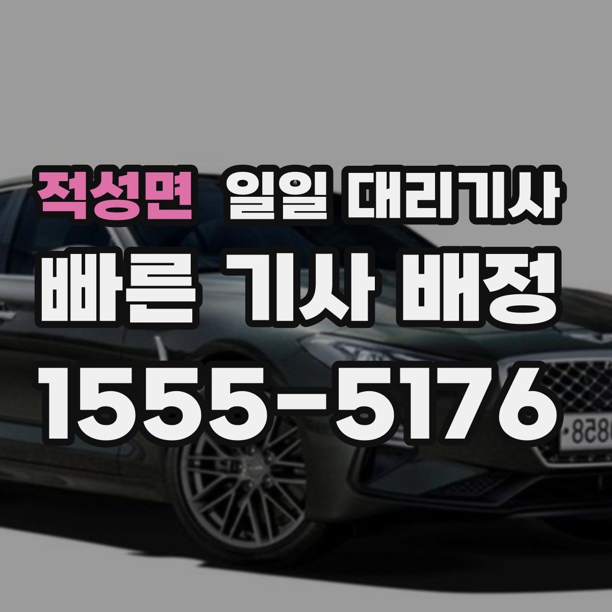 적성면 일일 대리기사