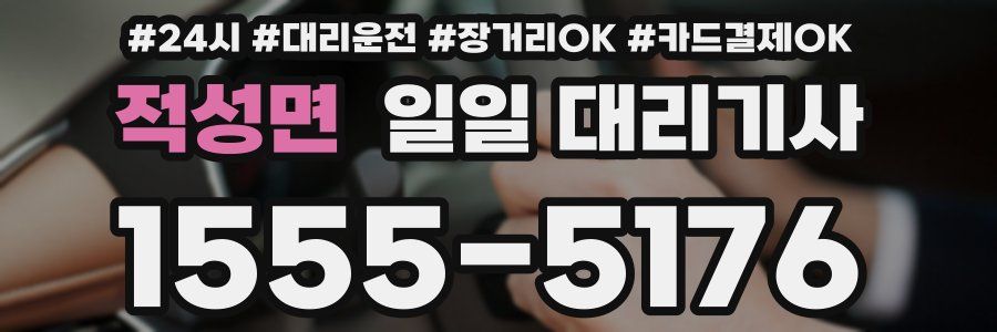 적성면 일일 대리기사