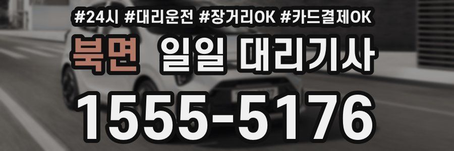 북면 일일 대리기사