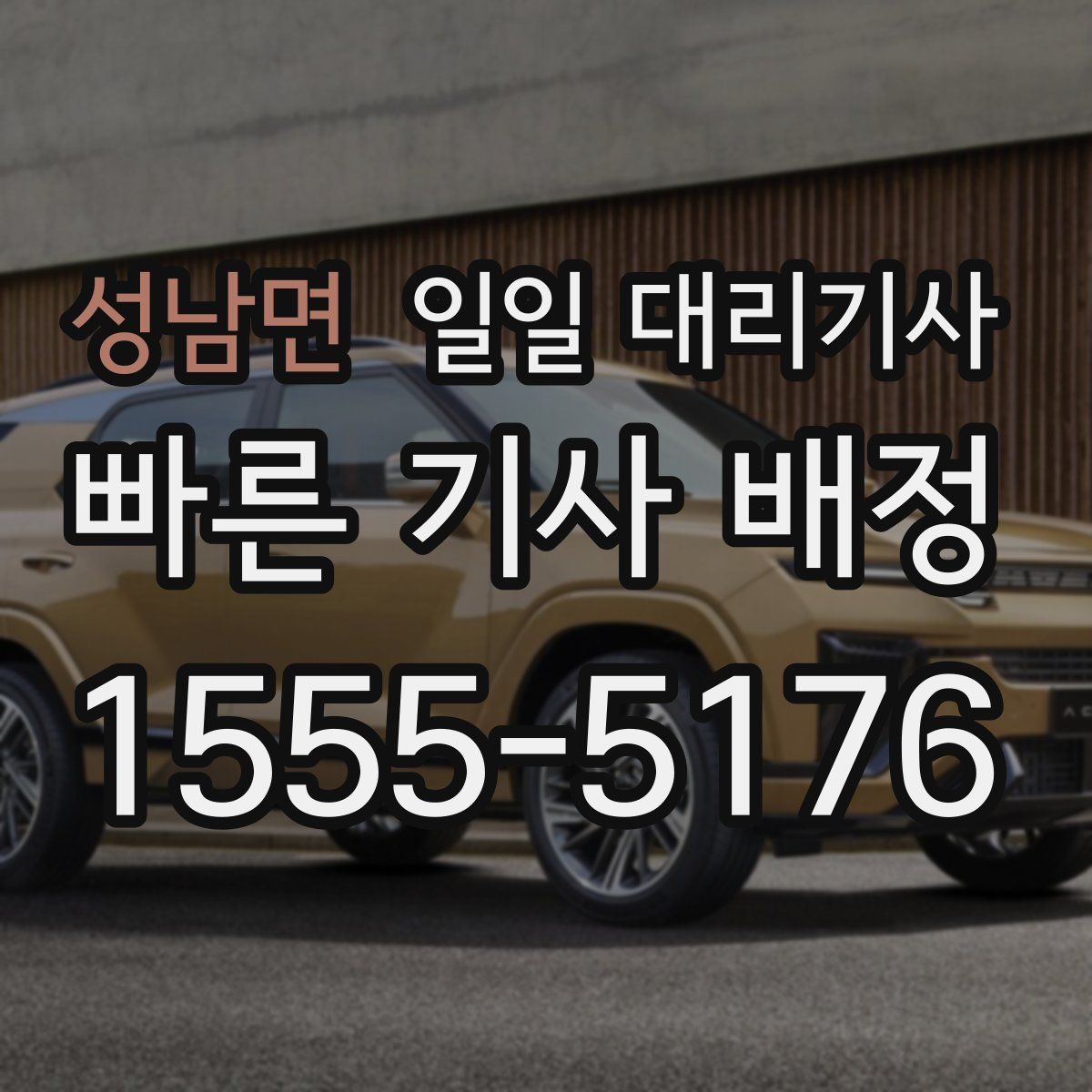 성남면 일일 대리기사