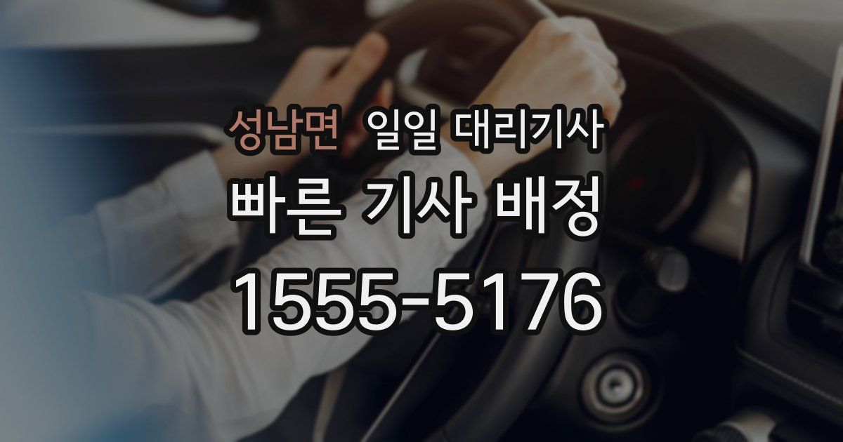 성남면 일일 대리기사