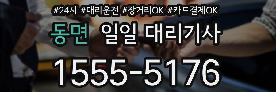 동면 일일 대리기사