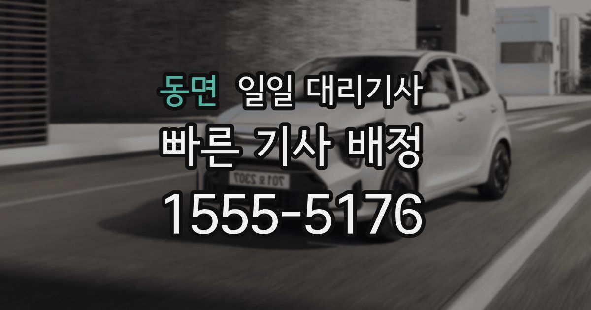 동면 일일 대리기사