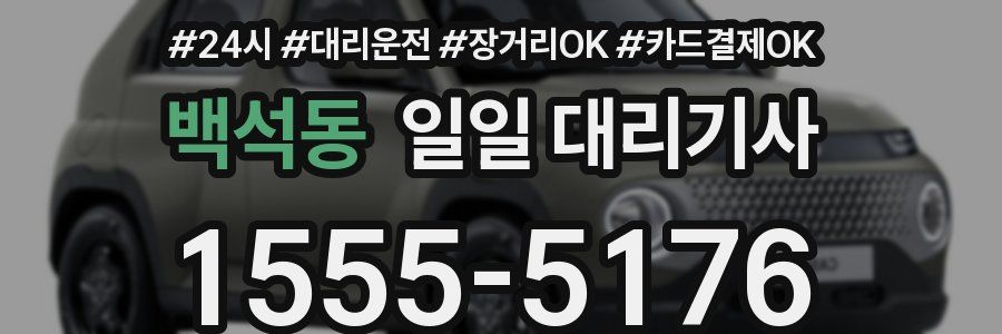 백석동 일일 대리기사