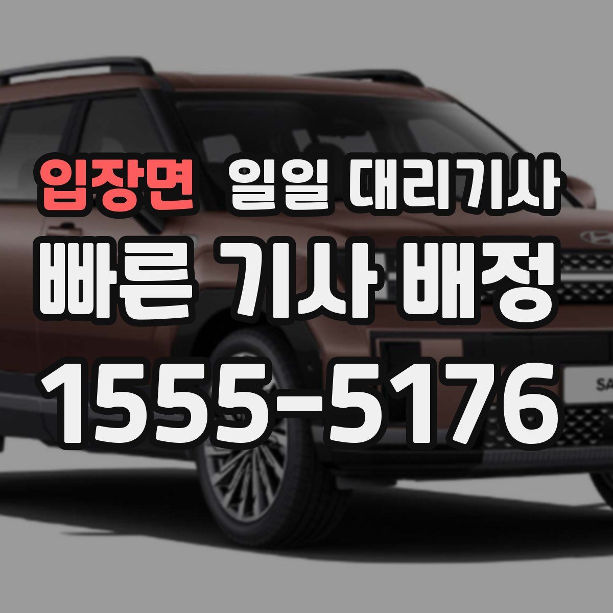 입장면 일일 대리기사