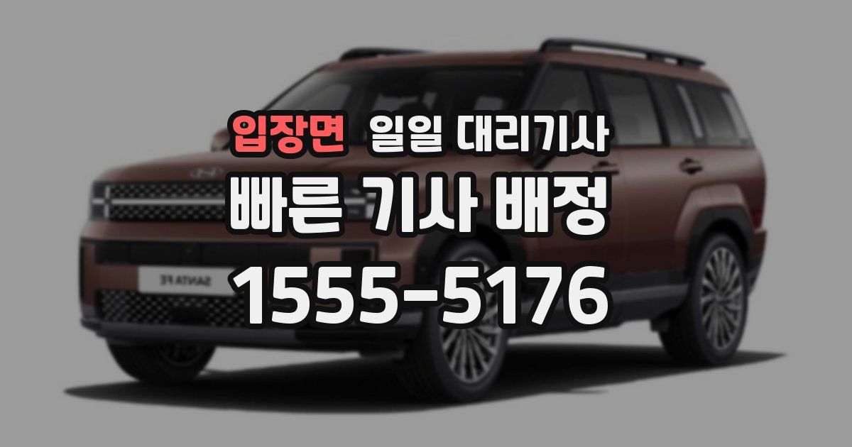입장면 일일 대리기사