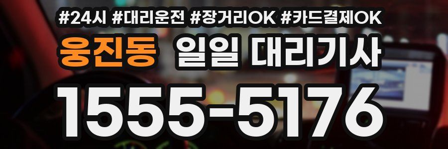 웅진동 일일 대리기사