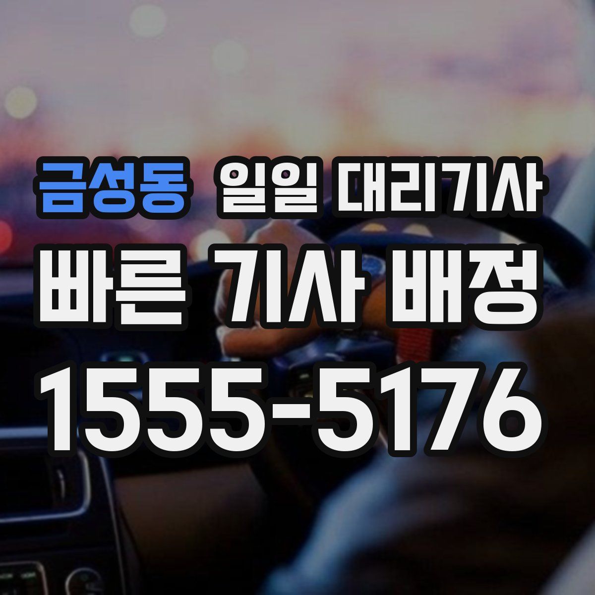 금성동 일일 대리기사