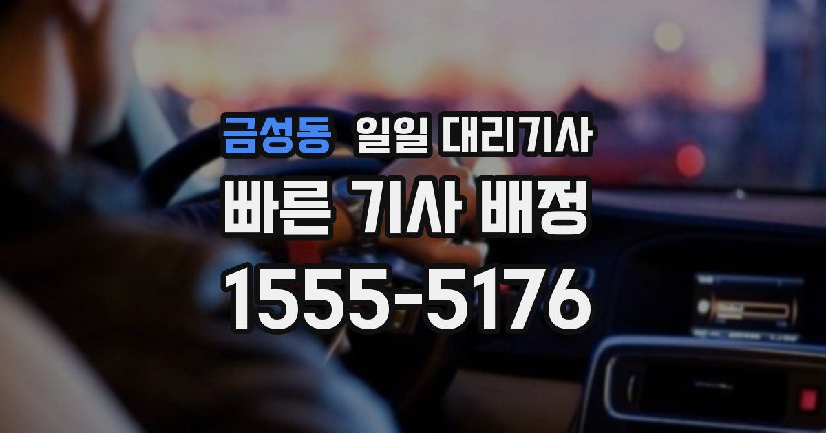 금성동 일일 대리기사