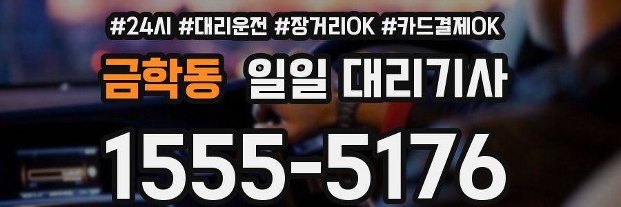 금학동 일일 대리기사