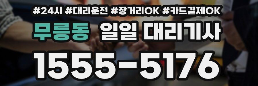 무릉동 일일 대리기사