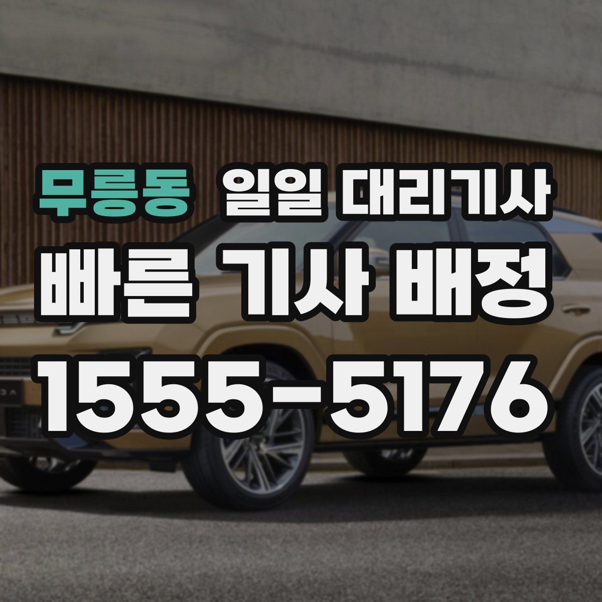 무릉동 일일 대리기사