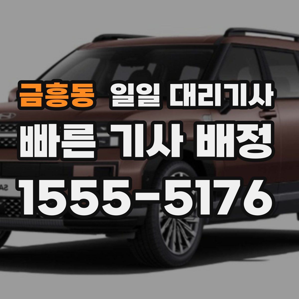 금흥동 일일 대리기사