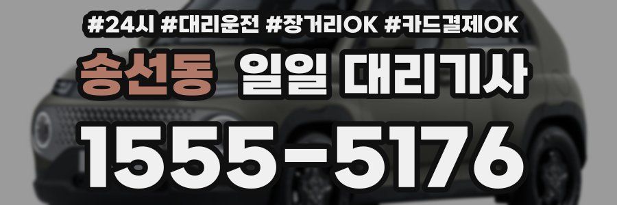 송선동 일일 대리기사