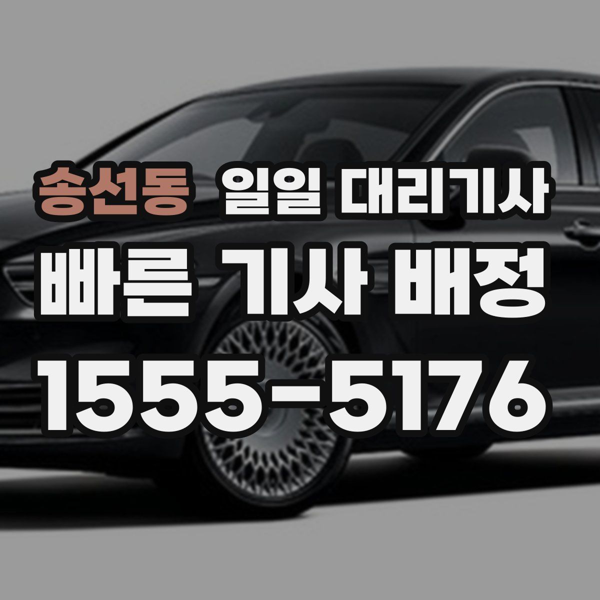 송선동 일일 대리기사