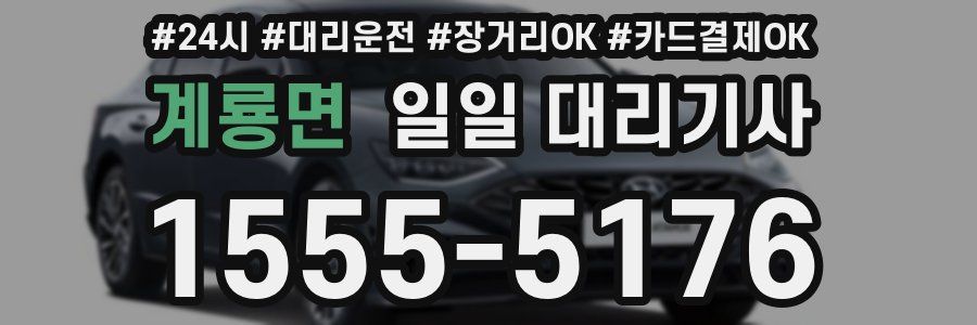 계룡면 일일 대리기사