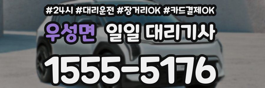 우성면 일일 대리기사