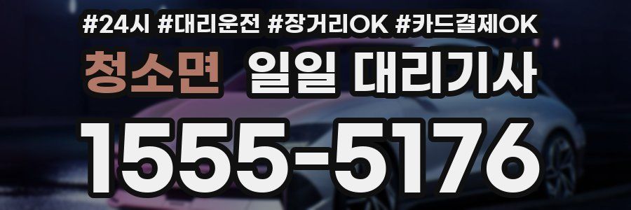 청소면 일일 대리기사