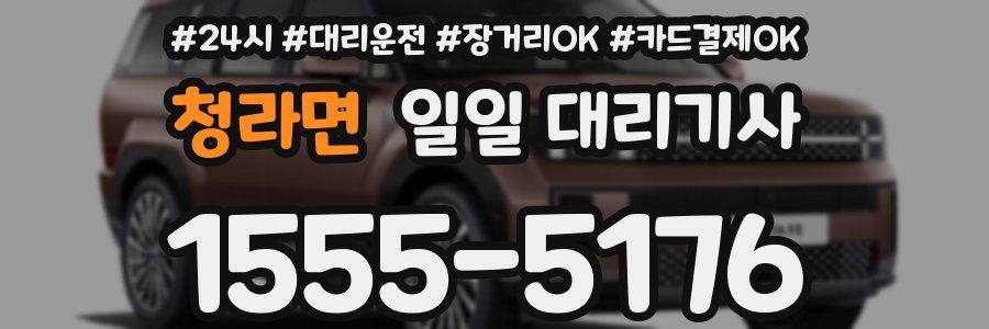 청라면 일일 대리기사