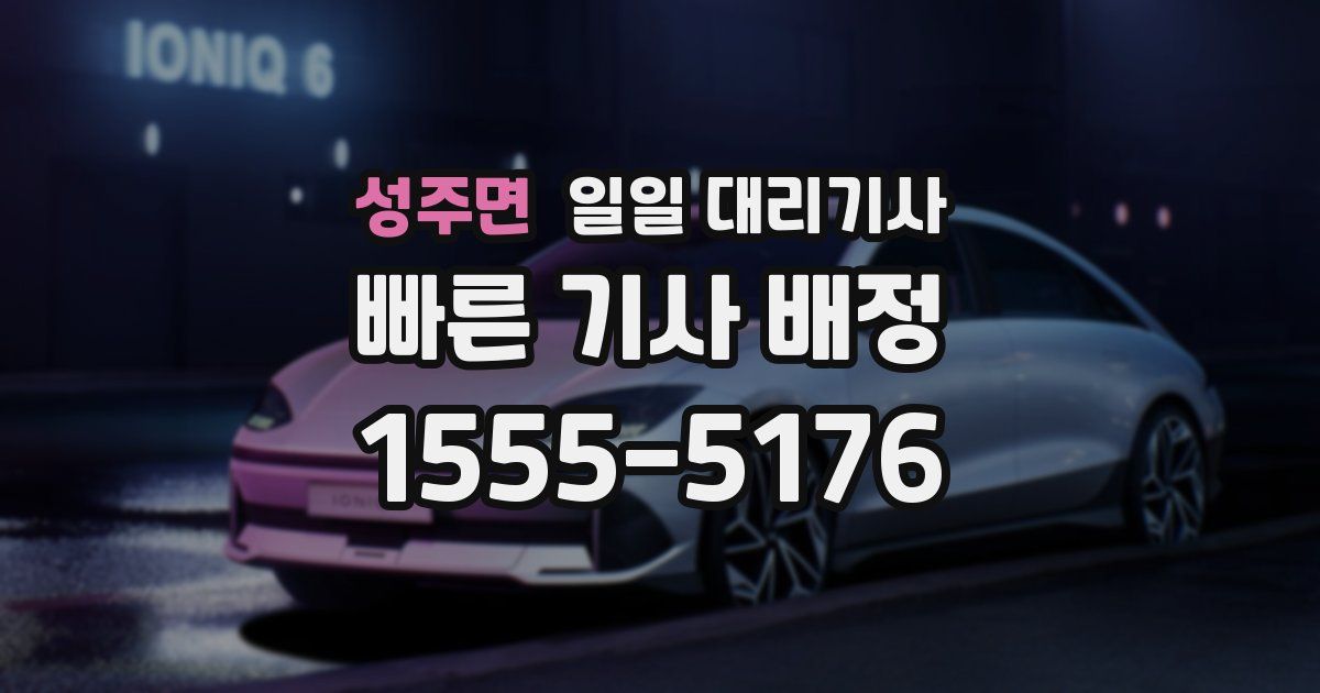 성주면 일일 대리기사