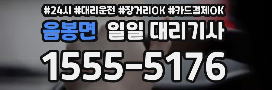 음봉면 일일 대리기사