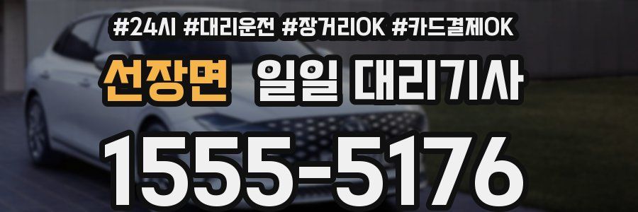 선장면 일일 대리기사