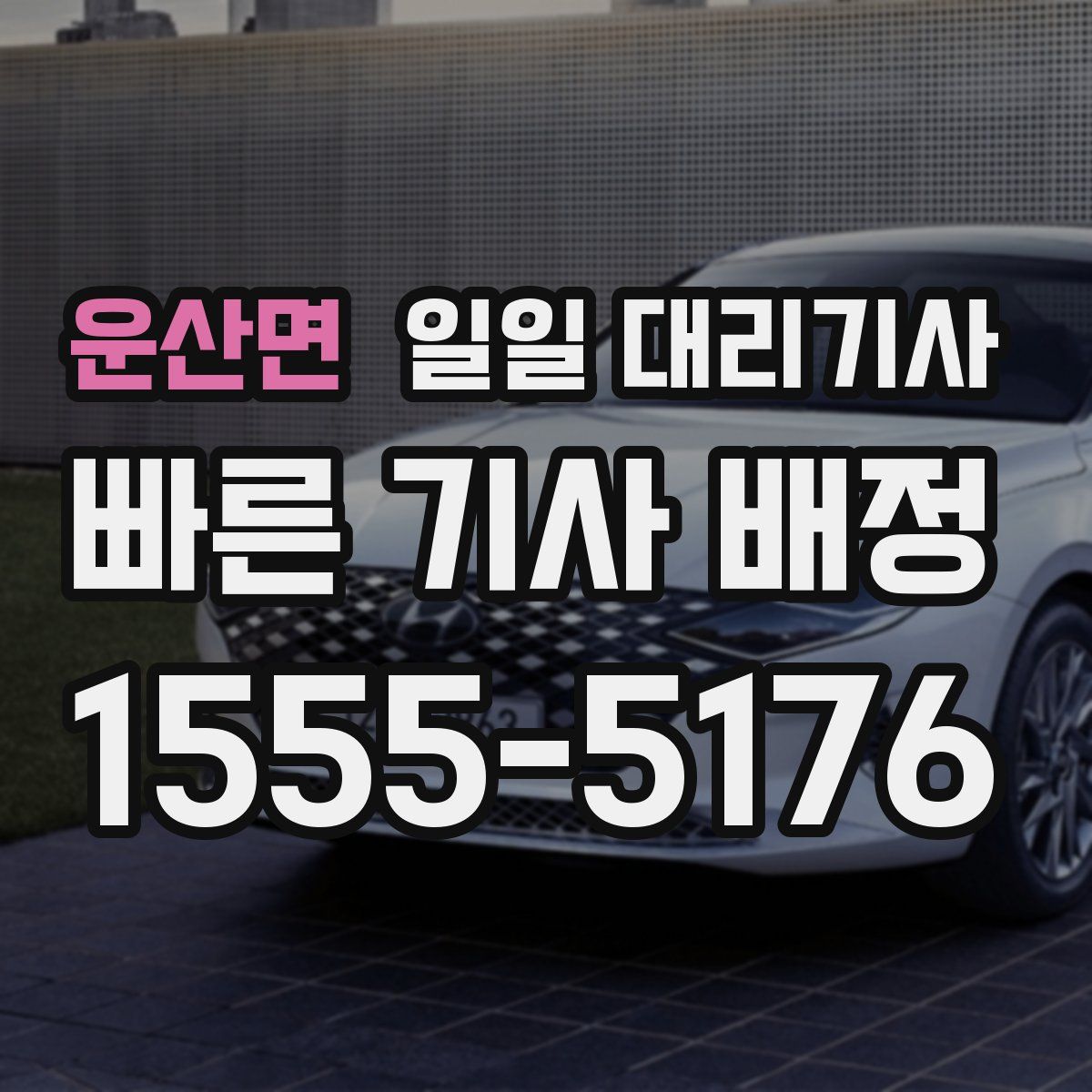 운산면 일일 대리기사