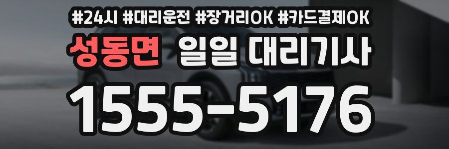 성동면 일일 대리기사