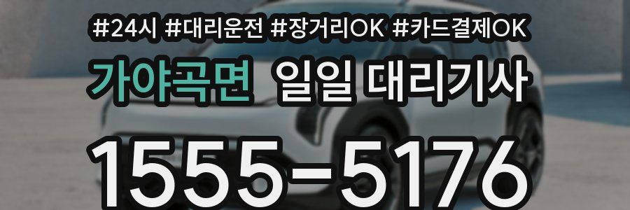 가야곡면 일일 대리기사