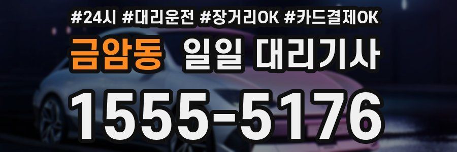 금암동 일일 대리기사
