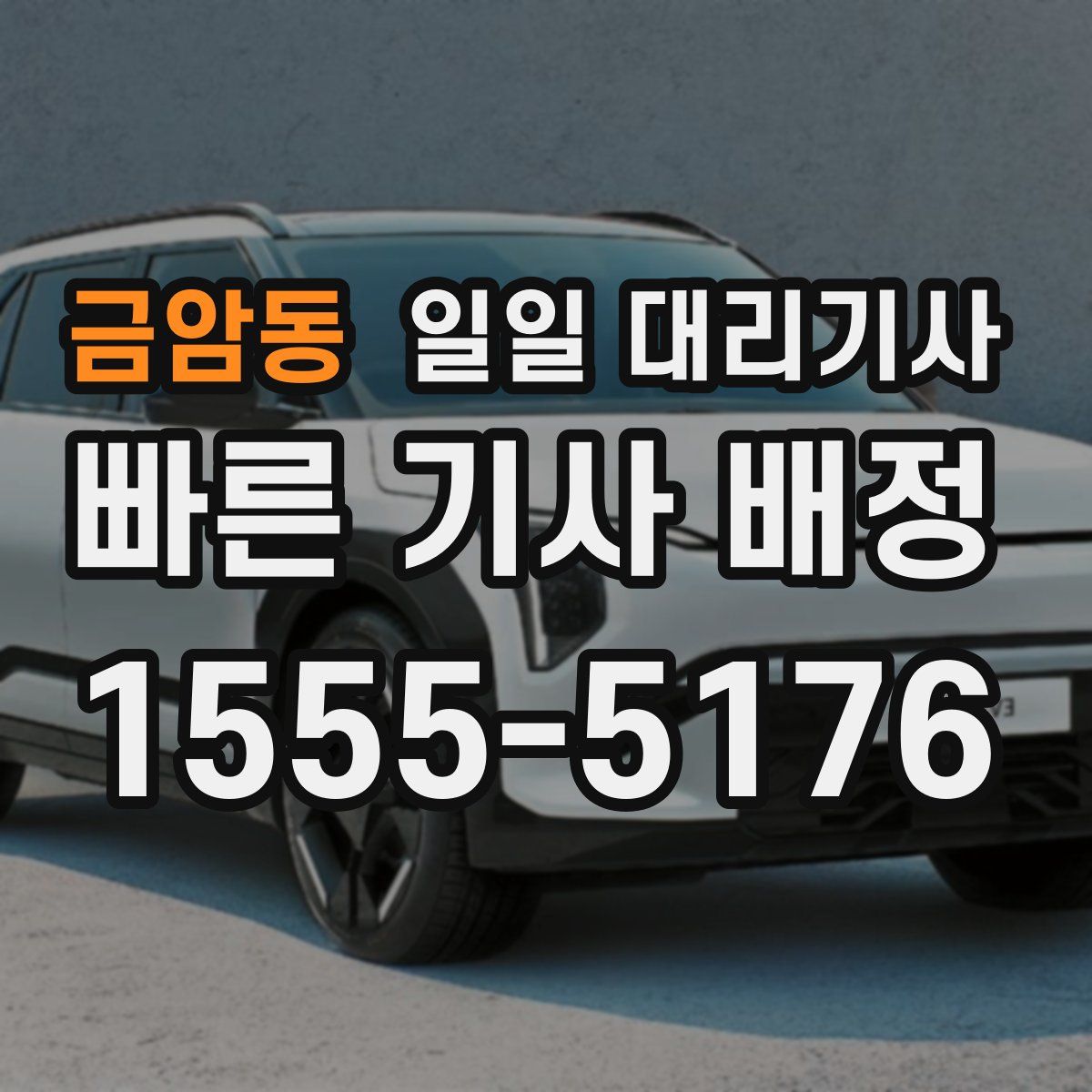 금암동 일일 대리기사