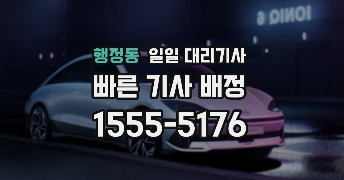 행정동 일일 대리기사