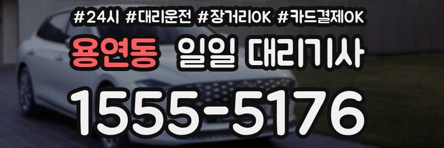 용연동 일일 대리기사