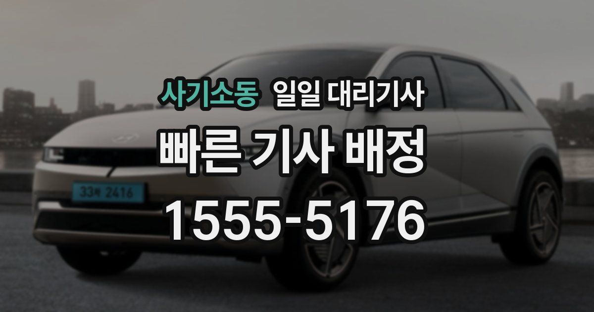 사기소동 일일 대리기사