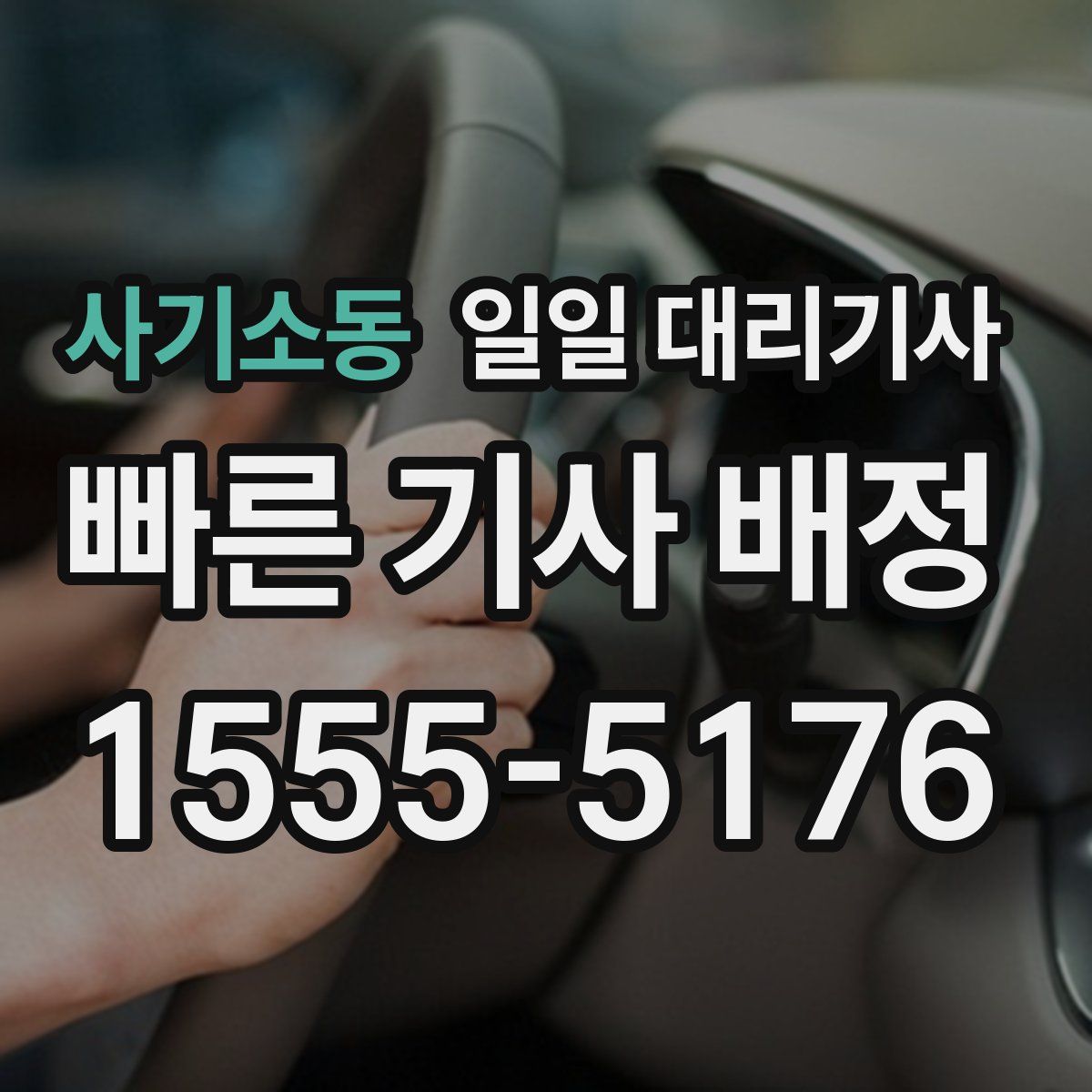 사기소동 일일 대리기사