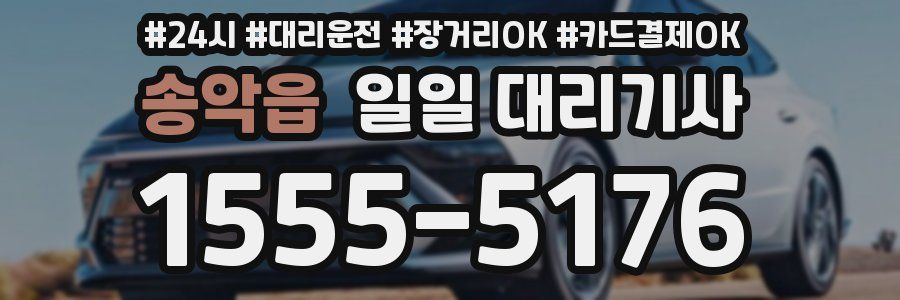 송악읍 일일 대리기사