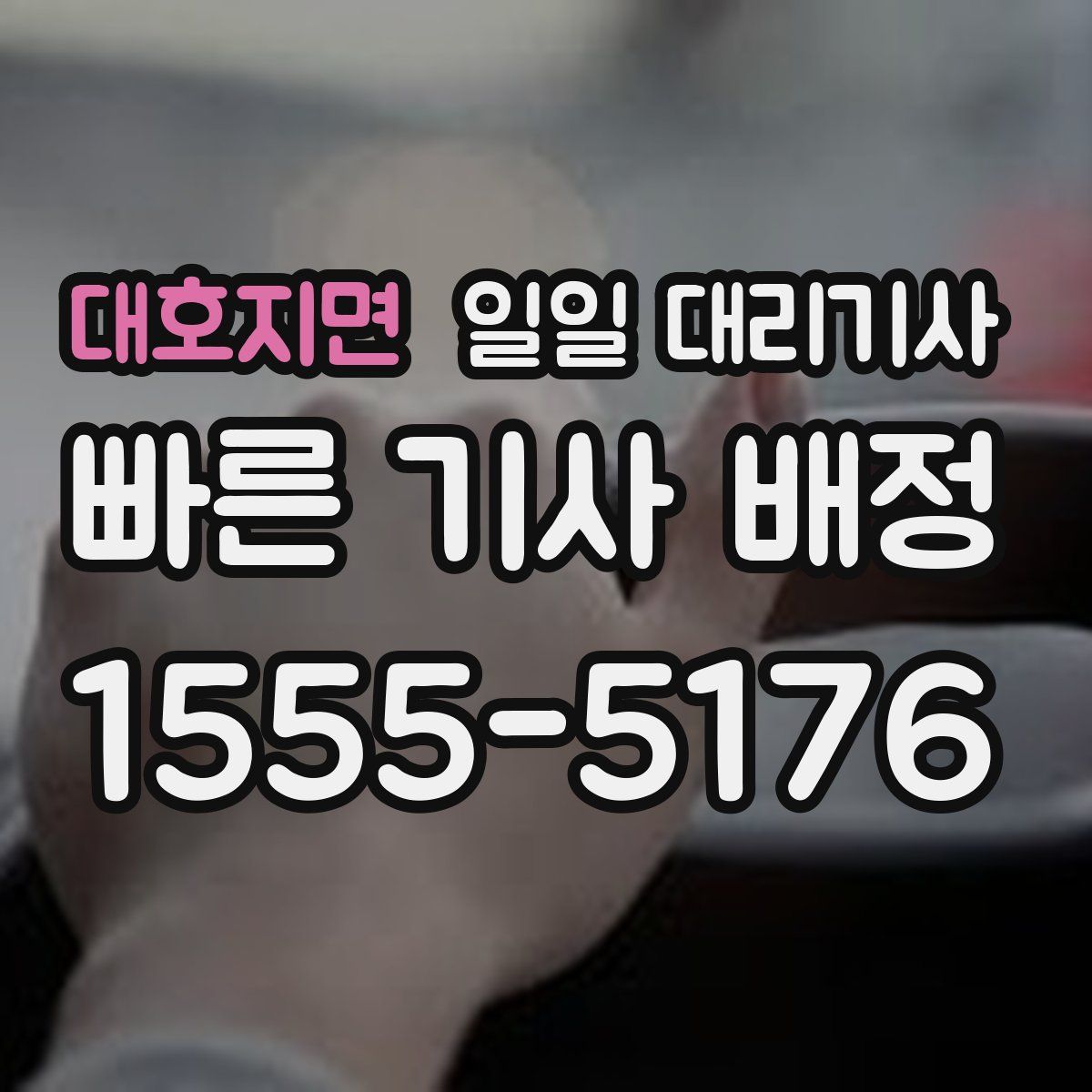 대호지면 일일 대리기사