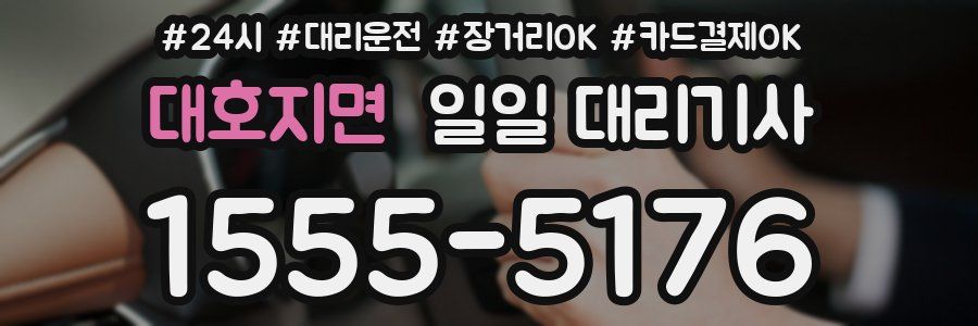 대호지면 일일 대리기사