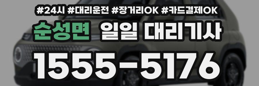 순성면 일일 대리기사