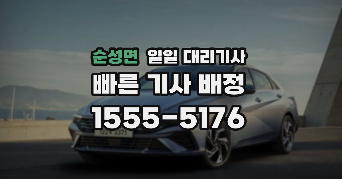 순성면 일일 대리기사