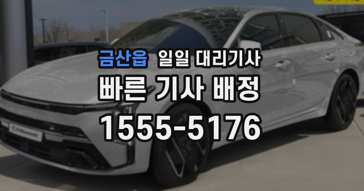 금산읍 일일 대리기사