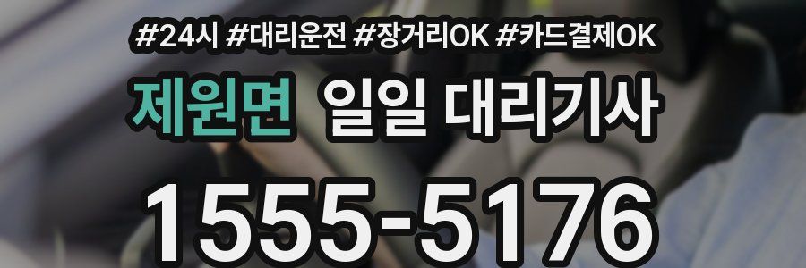 제원면 일일 대리기사