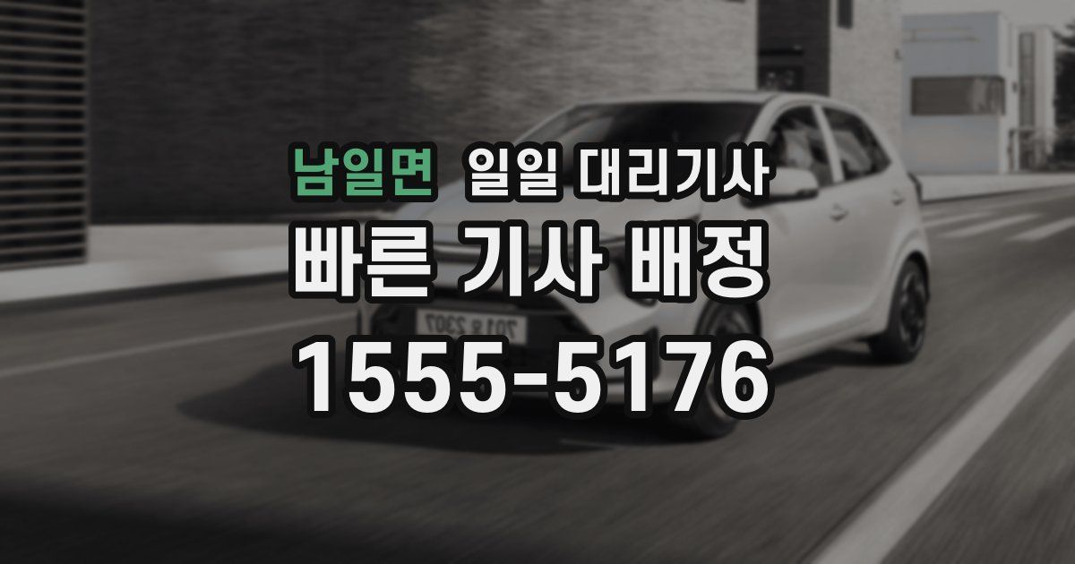 남일면 일일 대리기사