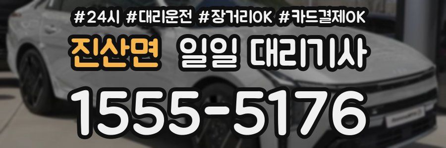 진산면 일일 대리기사