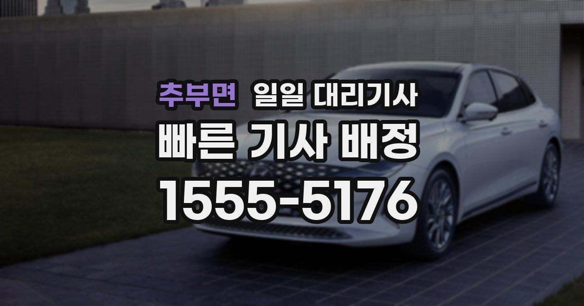 추부면 일일 대리기사